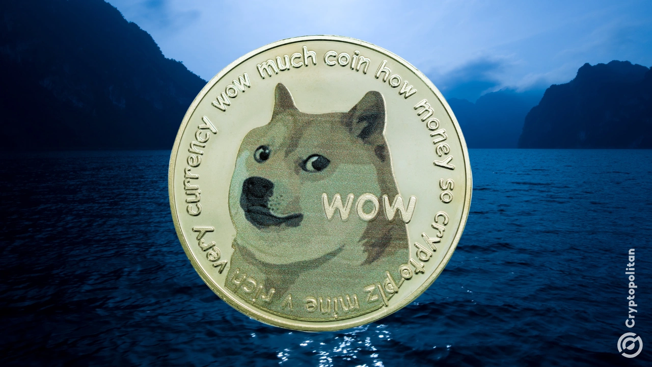 dogecoin浏览器(dogecoin交易平台)