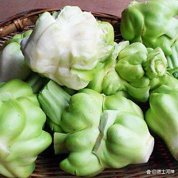 榨菜是怎么生长的(榨菜怎么生长的过程)