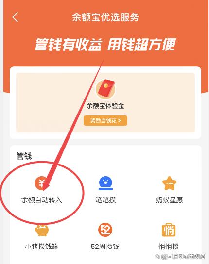 怎么关余额宝(怎么关余额宝自动转钱)