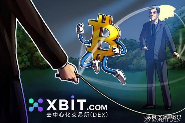 capx交易所简介(capx交易所是哪里的)