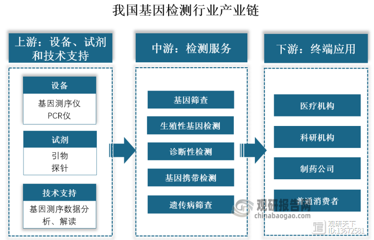 基因测序图怎么看(基因测序怎么看是否有突变)