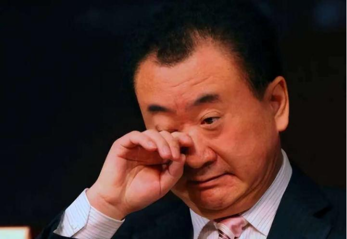 王健林怎么发家的(王健林是靠什么起家的)