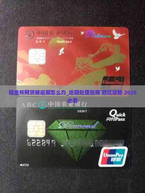 陆金所逾期怎么处理(陆金所贷款逾期多久起诉)