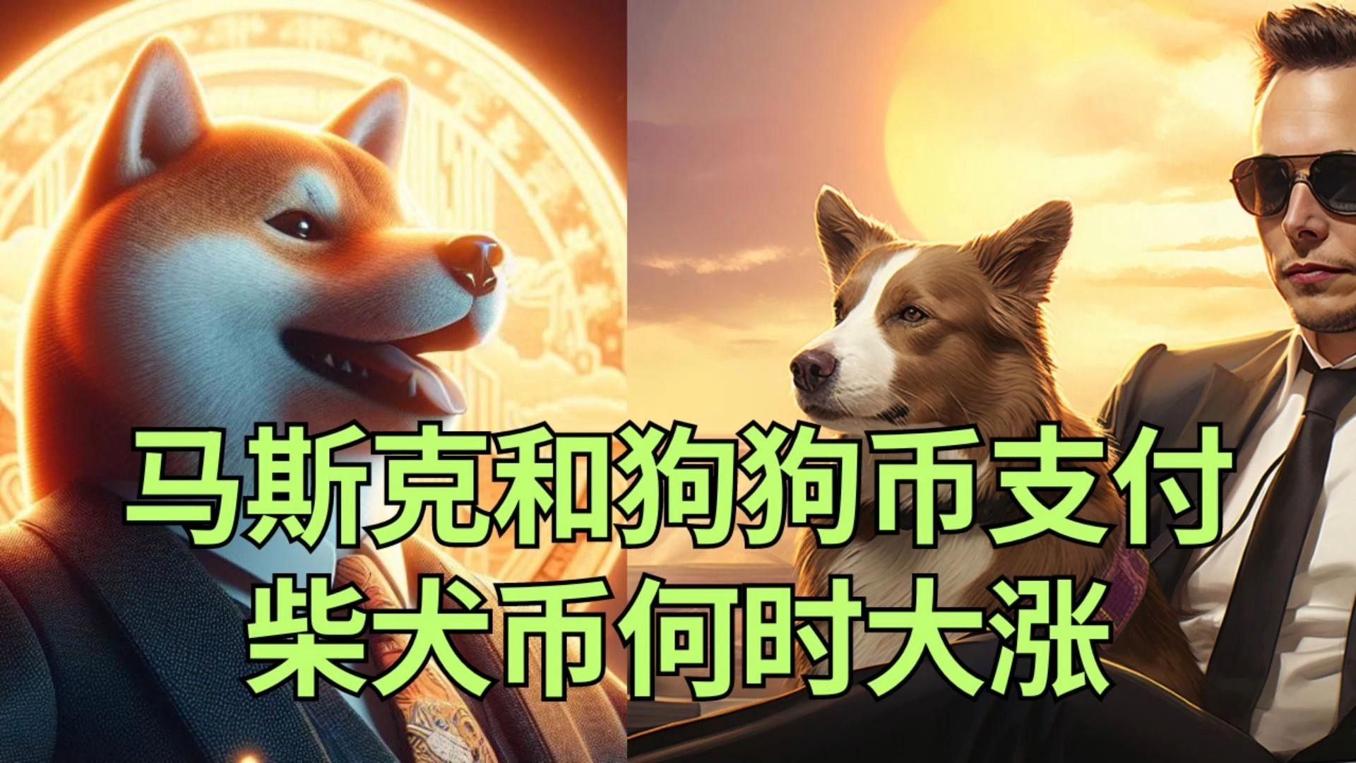 狗币单飞挖矿(狗币挖矿收益计算器)