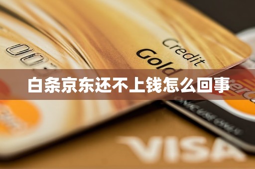 京东白条余额不足怎么办(为什么京东打白条说余额不足)