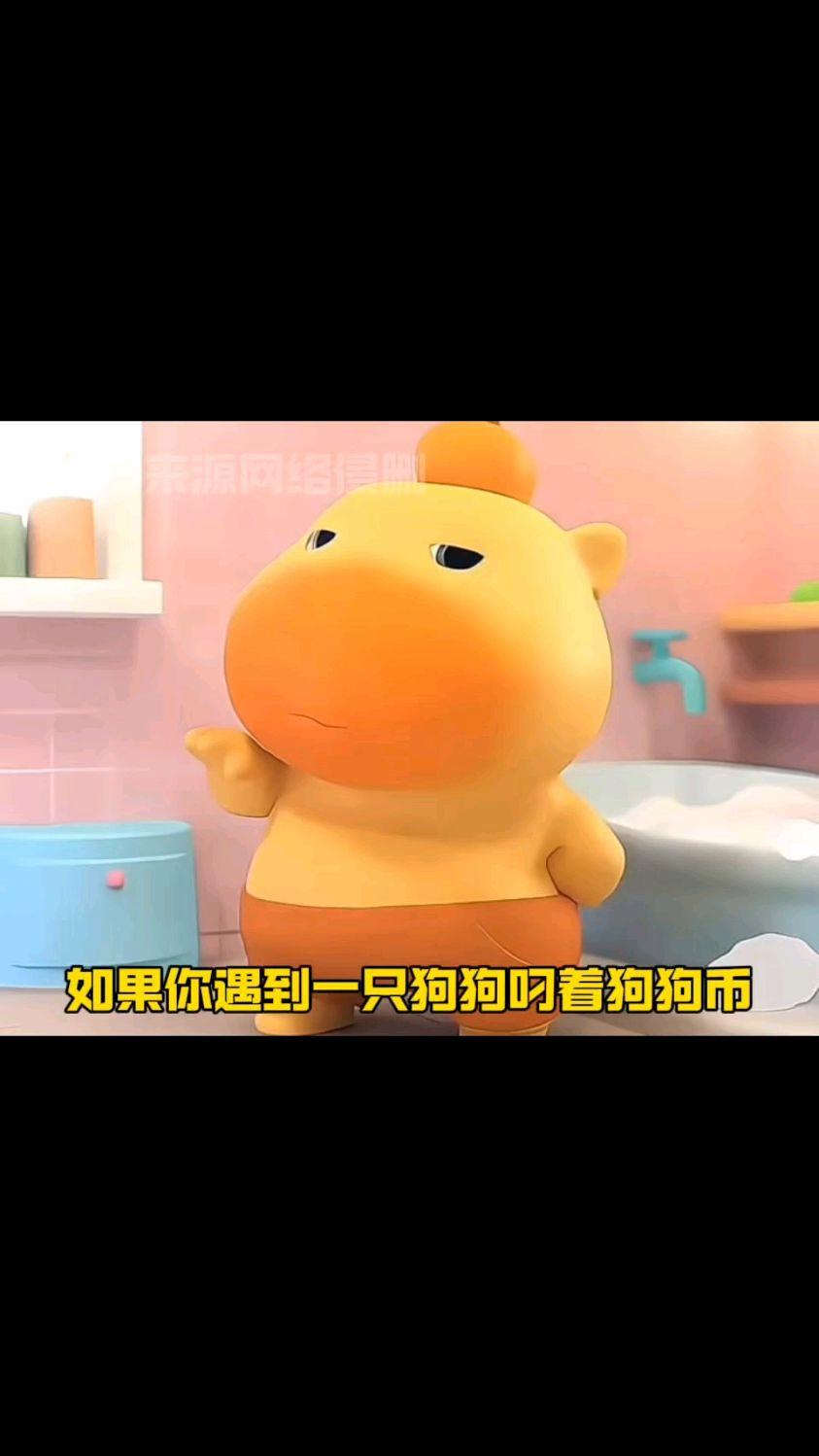 宝贝狗币(宝贝狗币多少一枚)