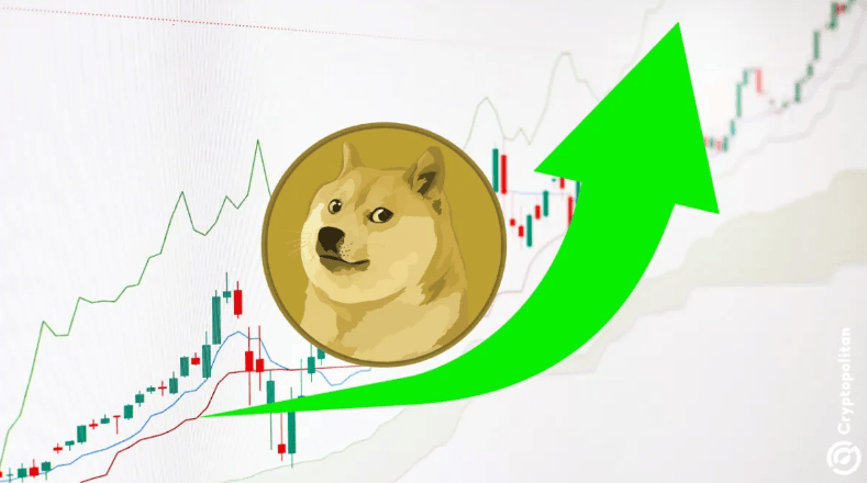 doge币最新(DOGE币最新热议)