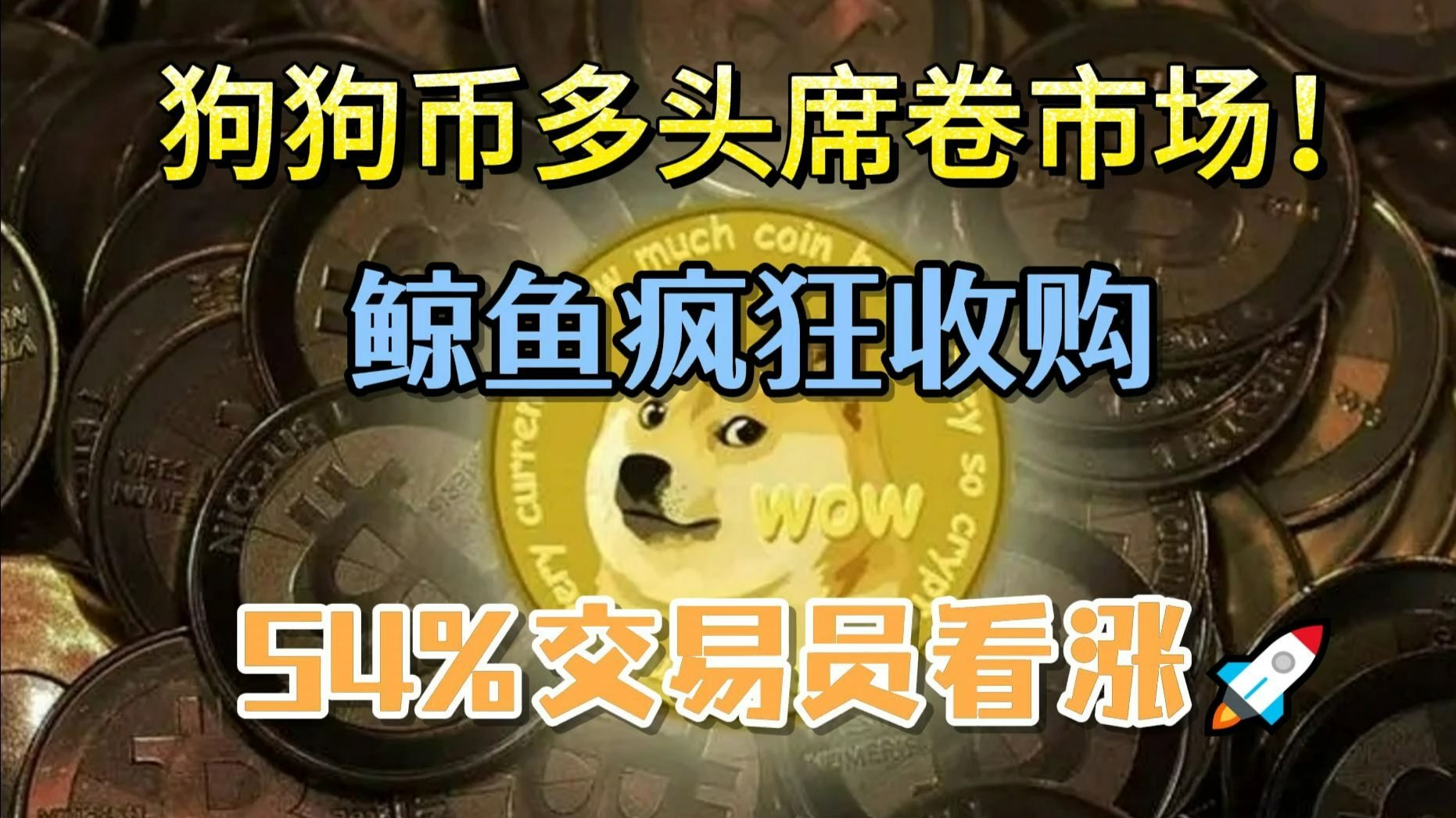宝贝狗币行情(宝贝狗币今日行情) 宝贝狗币行情(宝贝狗币今日行情)