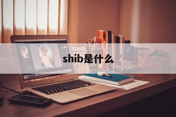 shib是什么(shib是什么链的)