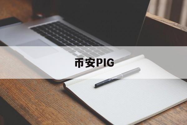 币安PIG(币安bep20上pizza是什么币)