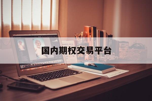国内期权交易平台(国内期权有哪些品种)