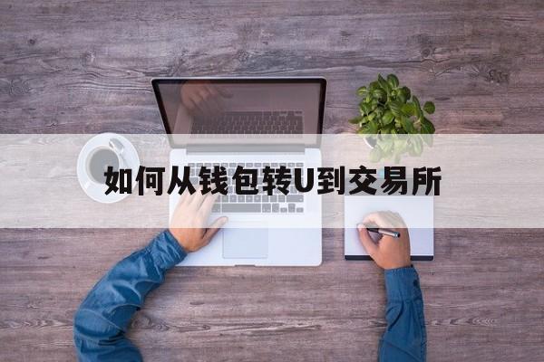 如何从钱包转U到交易所(从钱包转到交易所地址查到是谁吗?)